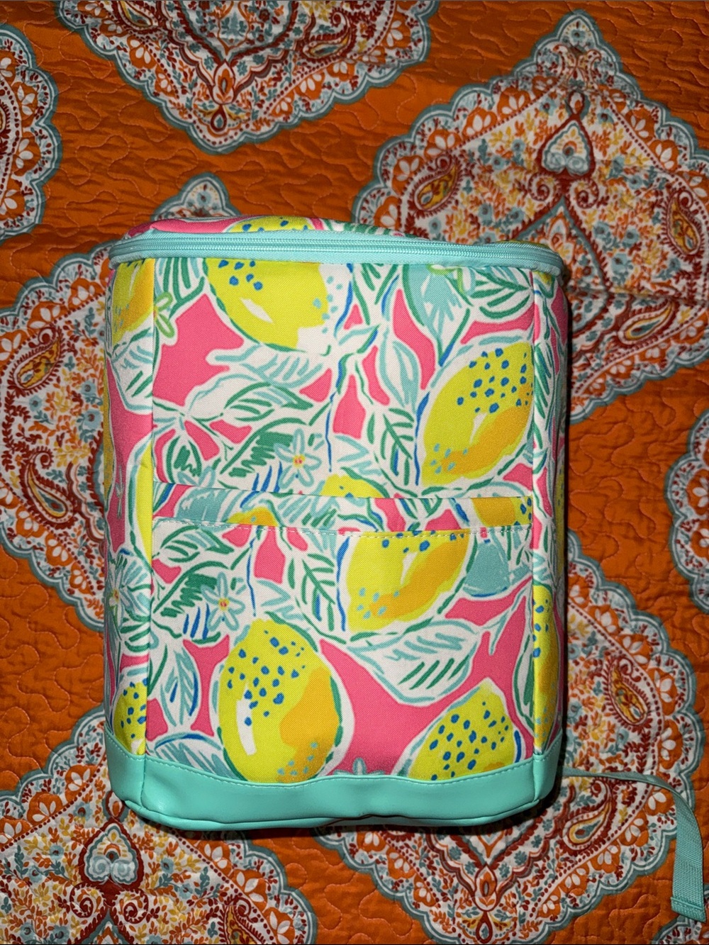 Lemon Print Backpack Cooler Bag Insulated Lunch Pink Yellow Mint
